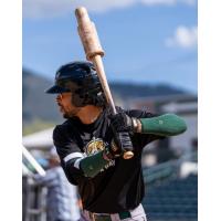 Missoula PaddleHeads at the plate