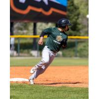 Missoula PaddleHeads on the basepaths