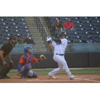 Tampa Tarpons outfielder Jasson Dominguez