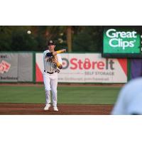 Charleston RiverDogs in the field