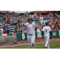 Charleston RiverDogs first baseman Bobby Seymour