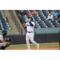 Tampa Tarpons center fielder Jasson Dominguez