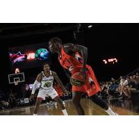 Fraser Valley Bandits take on the Niagara River Lions in CEBL action