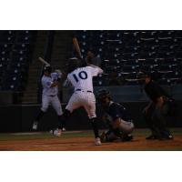 Tampa Tarpons infielder Marcos Cabrera