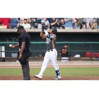 Edwin Barragan of the Charleston RiverDogs