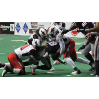 Jacksonville Sharks gang tackle the Carolina Cobras