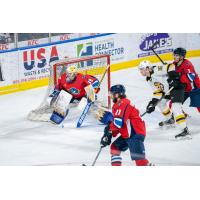 Springfield Thunderbirds goaltender Charlie Lindgren