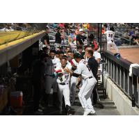 Fayetteville Woodpeckers welcome Kenedy Corona back to the dugout following a home run