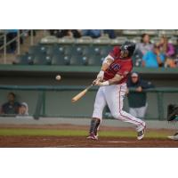 DH Matt Adams of the Kansas City Monarchs hits his fifth home run of the season