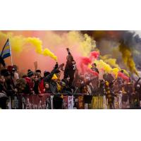 Detroit City FC fans cheer on their team