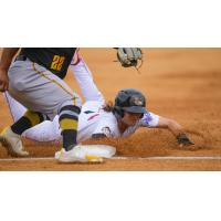 Tri-City ValleyCats slide vs. the Sussex County Miners