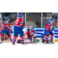 Edmonton Oil Kings goaltender Sebastian Cossa vs. the Seattle Thunderbirds