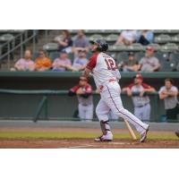 Matt Adams of the Kansas City Monarchs