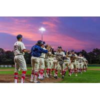 Cape Cod Baseball League returns to play