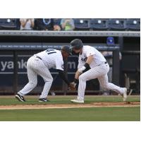 Tampa Tarpons exchange low fives