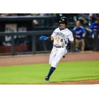 Enrique Valdez of the Columbia Fireflies