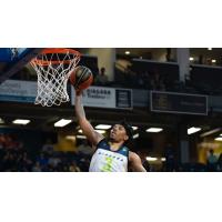 Niagara River Lions head toward the basket against the Newfoundland Growlers