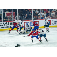 Springfield Thunderbirds goaltender Joel Hofer defends against the Laval Rocket