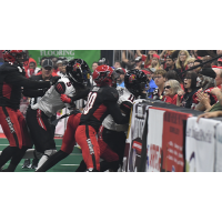 Jacksonville Sharks battle the Orlando Predators