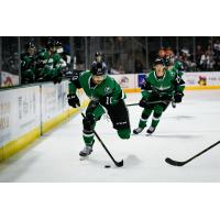 Texas Stars forward Nicholas Caamano