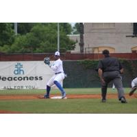 Evansville Otters infielder Gary Mattis