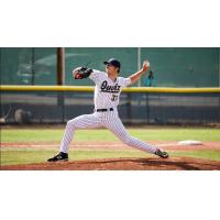 Northern Colorado Owlz pitcher Alex Smith