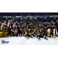 Hamilton Bulldogs celebrate as OHL Champions