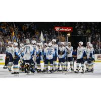 Toledo Walleye gather on the ice