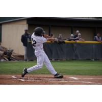 Northern Colorado Owlz outfielder Cameron Phelts