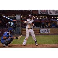 Wisconsin Rapids Rafters at the plate