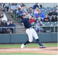 Anthony Volpe of the Somerset Patriots