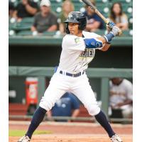 Enrique Valdez of the Columbia Fireflies