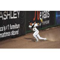 Charleston RiverDogs outfielder Shane Sasaki makes a catch on the track