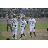 Fayetteville Woodpeckers head to the dugout after a home run