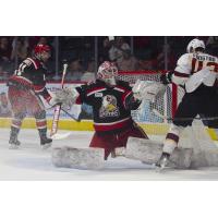 Grand Rapids Griffins goaltender Victor Brattstrom