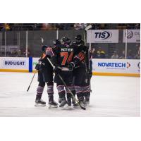 Knoxville Ice Bears group hug