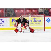 Goaltender Brett Mirwald with the Moose Jaw Warriors