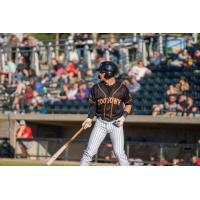 Missoula PaddleHeads outfielder Brandon Riley