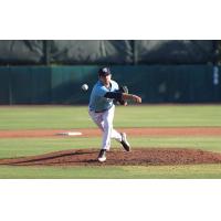 Charleston RiverDogs deliver a pitch against the Myrtle Beach Pelicans