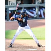 David Hollie at bat for the Columbia Fireflies