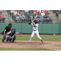 Tri-City Dust Devils infielder Osmy Gregorio