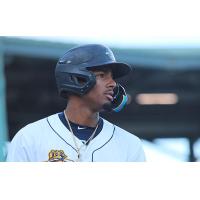 Charleston RiverDogs in action