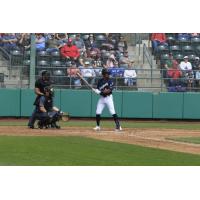 Tri-City Dust Devils at the plate