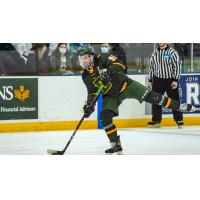 Ryan Romeo on the ice for SUNY Brockport