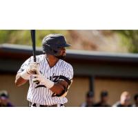 Northern Colorado Rockies at bat