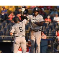 Somerset Patriots' Michael Beltre