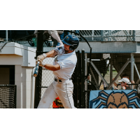 Fond Du Lac Dock Spiders' Nick Mitchell at bat