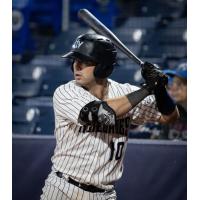 Somerset Patriots catcher Austin Wells