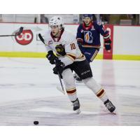 Vancouver Giants left wing Zack Ostapchuk