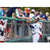 Everett AquaSox sign autographs for the fans